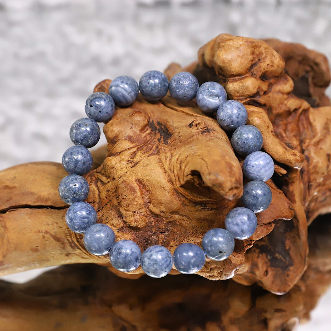 🌊 Oceanic Blue Coral Bracelet – Ancient Ocean Energy for Protection & Vitality 🐚