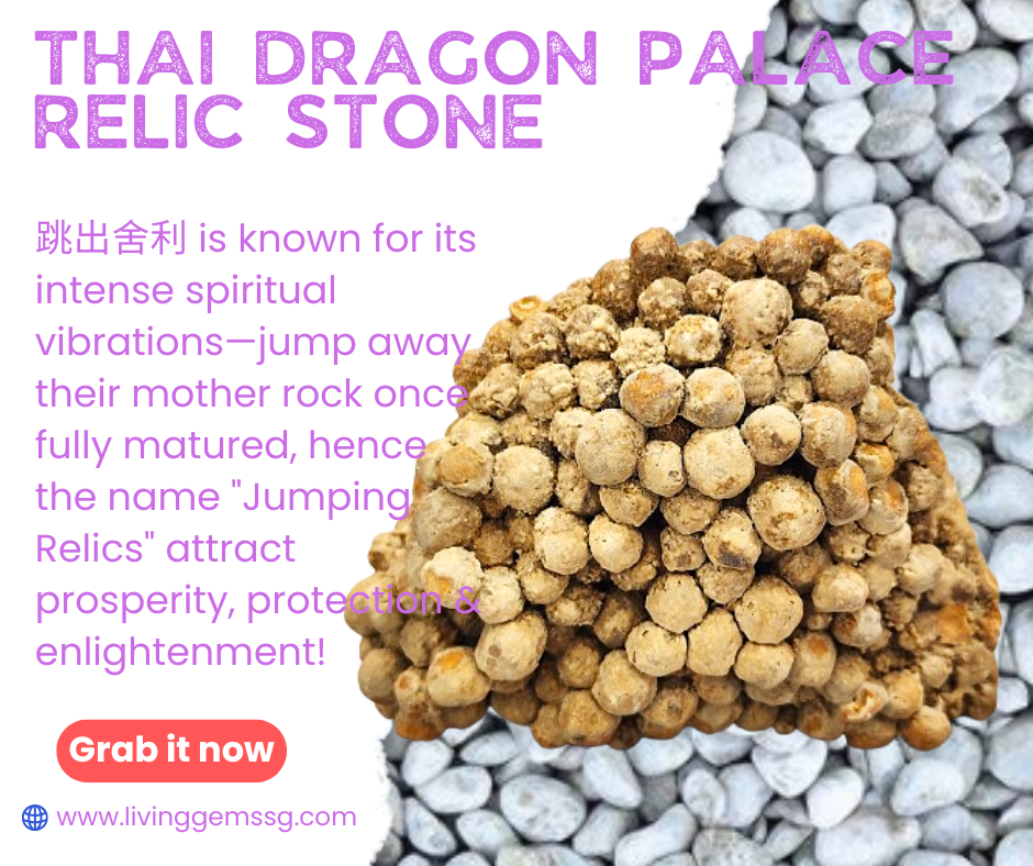 ✨✨Thai Dragon Palace Relic Stone  -  跳出舍利 Rare & Powerful Energy Boost! ✨
