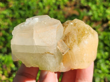 Load image into Gallery viewer, Discover the Magic of Green Apophyllite
