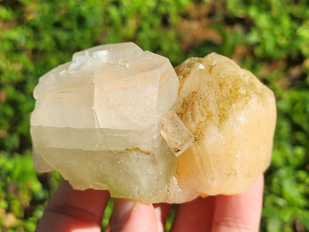 Discover the Magic of Green Apophyllite