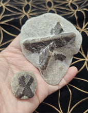 Load image into Gallery viewer, ✨ Staurolite Fairy Cross — Nature’s Talisman of Protection &amp; Blessings ✨
