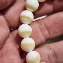 Load image into Gallery viewer, 🌿✨Good Grade Tridacna (一线砗磲) Bracelet — Pure Serenity &amp; Blessings ✨🌿
