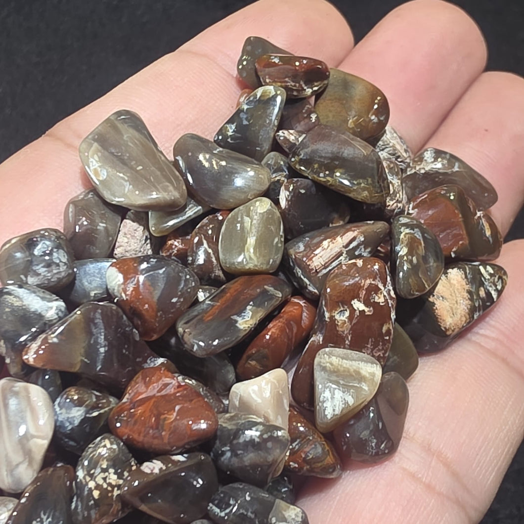 Petrified Wood Loose Crystal Bits – Stability & Grounding
