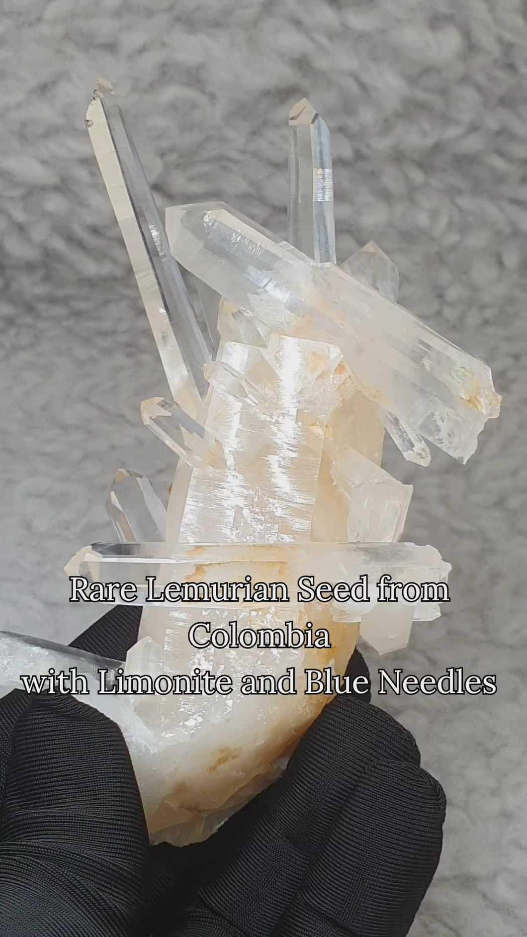 🔮 Rare Lemurian Seed Crystal with Limonite & Blue Needles – Wisdom · Protection · Spiritual Awakening