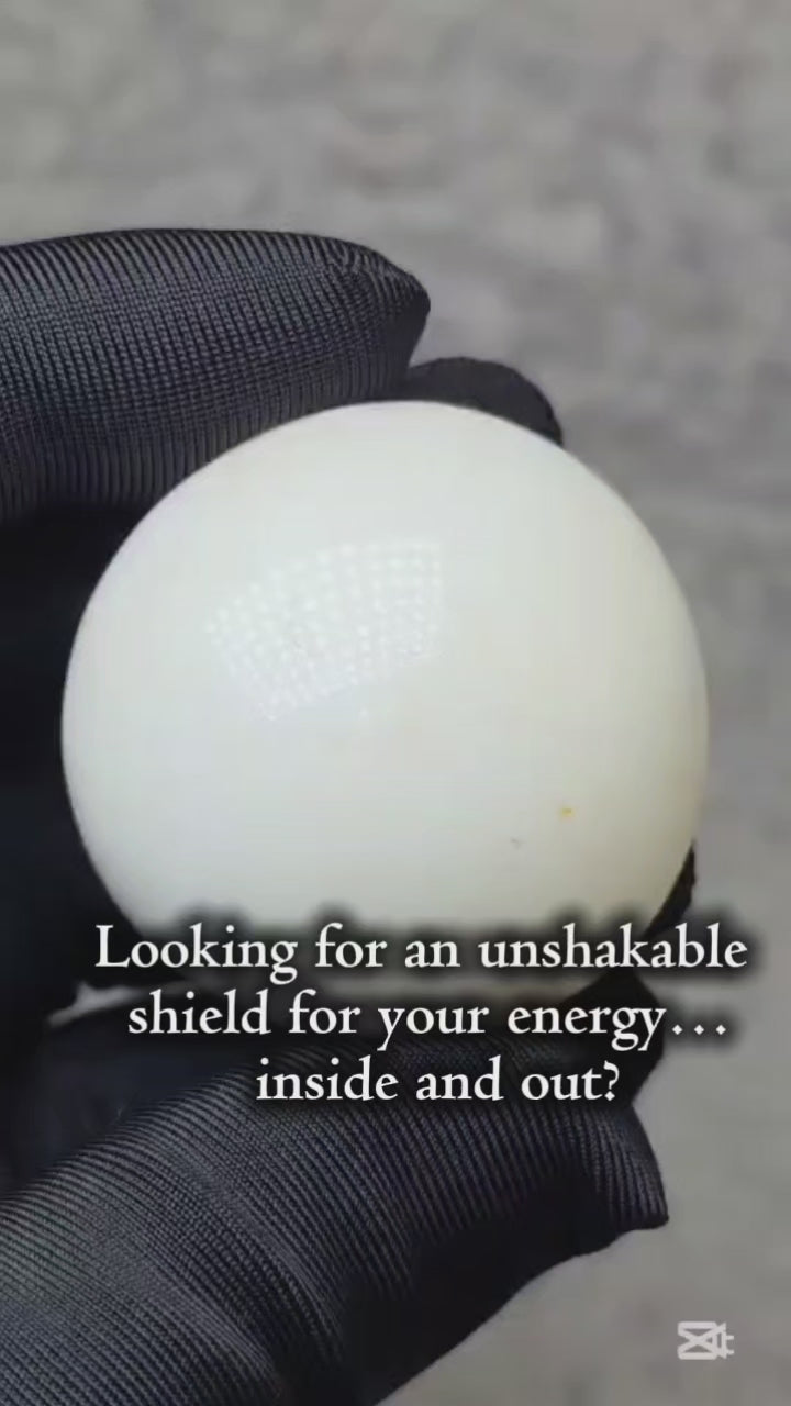 金刚舍利 - Thai Dragon Palace Relic Stone ✨