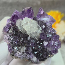 Load and play video in Gallery viewer, Amethyst with Calcite on Black &amp; Red Hematite Specimen (Uruguay) – 乌拉圭紫水晶共生方解石黑红赤铁矿标本

