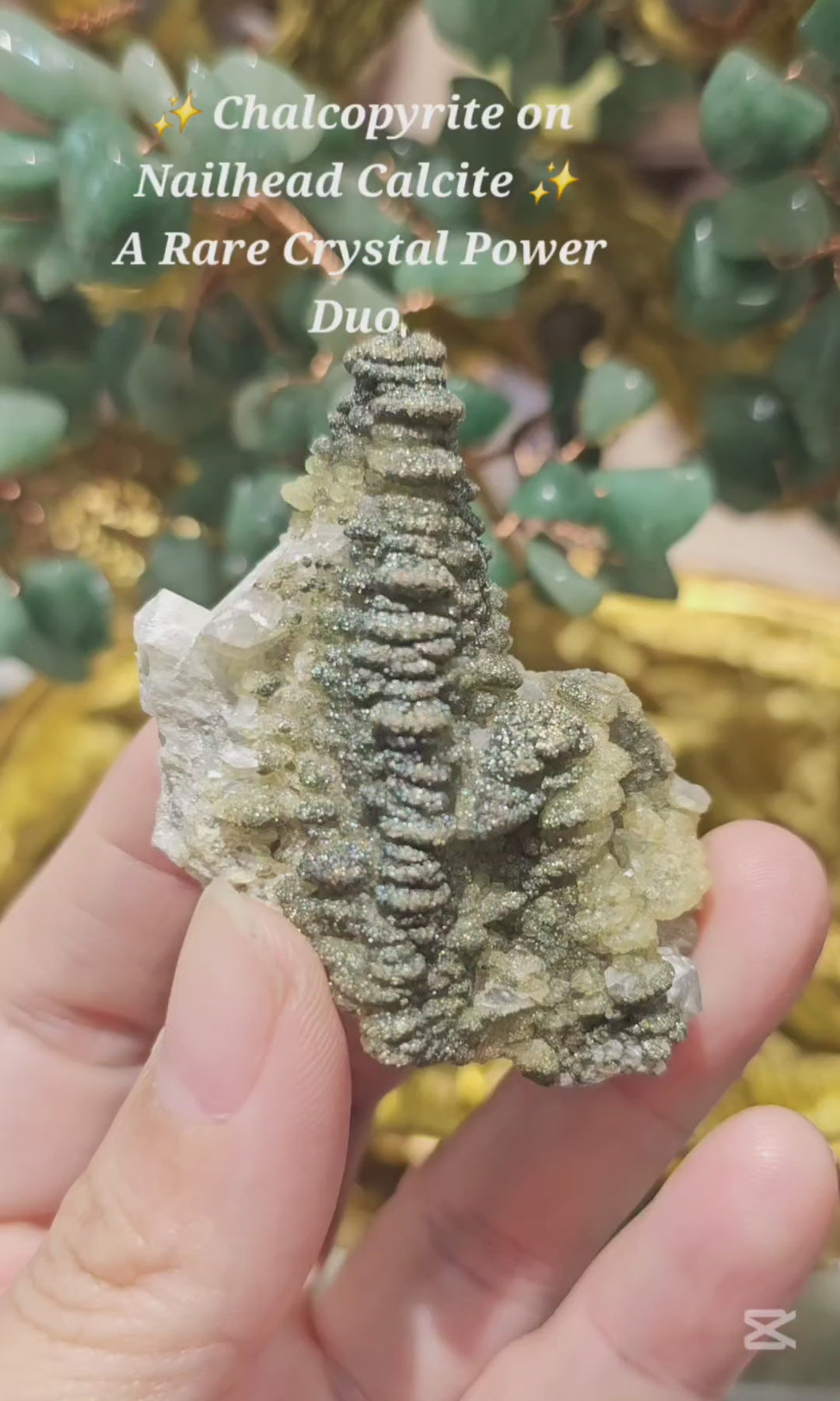 ✨ Chalcopyrite on Nail head Calcite – A Power Duo for Transformation & Clarity ✨