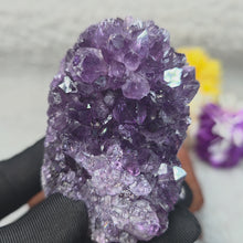 Load and play video in Gallery viewer, Unpolished Amethyst Display – 天然紫水晶原石摆件
