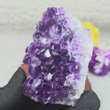 Load and play video in Gallery viewer, Unpolished Amethyst Display – 天然紫水晶原石摆件
