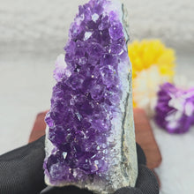 Load and play video in Gallery viewer, Unpolished Amethyst Display – 天然紫水晶原石摆件
