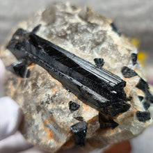 Load image into Gallery viewer, Raw Black Tourmaline in Quartz Specimen Display – 黑碧玺共生石英原矿摆件
