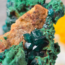 Load image into Gallery viewer, Dioptase with Malachite &amp; Chrysocolla Specimen (Congo) – 刚果翠铜矿共生孔雀石与蓝铜矿矿标
