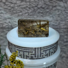 Load image into Gallery viewer, Golden Rutiles in Quartz Display – Manifestation &amp; Abundance Energy

