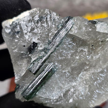 Load image into Gallery viewer, Green Tourmaline in Quartz Display – 绿碧玺共生石英矿物摆件
