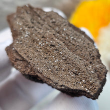Load image into Gallery viewer, German Druzy Petrified Wood Display – Ancient Fossil Wood Specimen – 德国晶洞木化石远古化石标本
