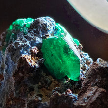 Load image into Gallery viewer, Dioptase with Chrysocolla Specimen (Congo) – 刚果翠铜矿共生蓝铜矿矿标

