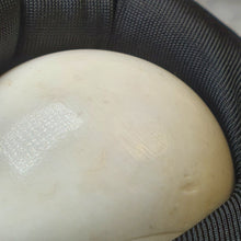 Load image into Gallery viewer, 金刚舍利 - Thai Dragon Palace Relic Stone ✨
