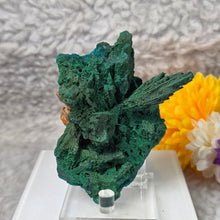 Load image into Gallery viewer, Dioptase with Malachite &amp; Chrysocolla Specimen (Congo) – 刚果翠铜矿共生孔雀石与蓝铜矿矿标
