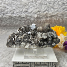 Load image into Gallery viewer, Columnar Calcite Specimen (Fujian, China) – 中国福建柱状方解石矿标
