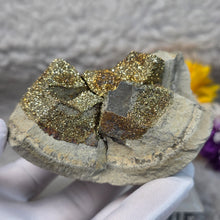 Load image into Gallery viewer, Rainbow Pyrite Specimen Display (Russia) – 俄罗斯彩虹黄铁矿标本摆件
