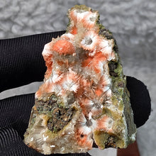 Load image into Gallery viewer, Thomsonite with Mesolite Specimen (India) – 印度托姆森石伴中沸石矿物标本
