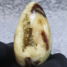 Load image into Gallery viewer, Septarian Geode – Grounding &amp; Expression Stone
