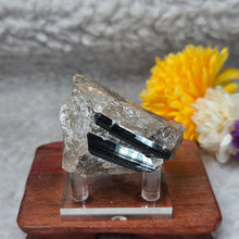 Load image into Gallery viewer, Raw Black Tourmaline in Quartz Specimen Display – 黑碧玺共生石英原矿摆件
