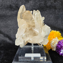 Load image into Gallery viewer, Clear Quartz Cluster Display (Green Ridge, Washington, USA) – 美国华盛顿州 Green Ridge 天然透明水晶簇矿物摆件
