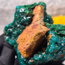 Load image into Gallery viewer, Dioptase with Malachite &amp; Chrysocolla Specimen (Congo) – 刚果翠铜矿共生孔雀石与蓝铜矿矿标

