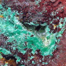 Load image into Gallery viewer, Azurite with Malachite Display (Laos) – 老挝蓝铜矿共生孔雀石摆件
