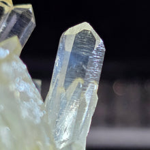 Load image into Gallery viewer, Clear Quartz with Blue Needle Cluster Display (Santander Mine, Colombia) – 哥伦比亚 Santander 蓝针水晶天然石英簇矿物摆件
