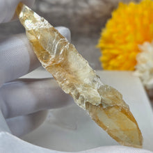 Load image into Gallery viewer, Golden Selenite Specimen Display (Turkey) – 土耳其金色透石膏标本摆件
