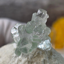 Load image into Gallery viewer, Green Apophyllite with Mesolite (India) – 印度绿色鱼眼石共生钠沸石矿标

