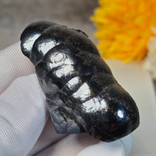 Load image into Gallery viewer, Botryoidal Hematite Specimen Display (Morocco) – 摩洛哥葡萄状赤铁矿标本摆件
