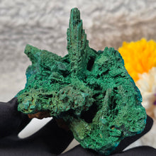 Load image into Gallery viewer, Dioptase with Malachite &amp; Chrysocolla Specimen (Congo) – 刚果翠铜矿共生孔雀石与蓝铜矿矿标
