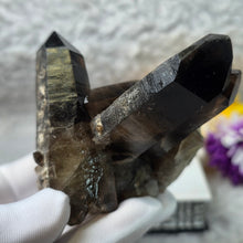 Load image into Gallery viewer, Smoky Quartz Cluster (Brazil) – 巴西烟晶簇

