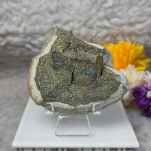 Load image into Gallery viewer, Rainbow Pyrite Specimen Display (Russia) – 俄罗斯彩虹黄铁矿标本摆件
