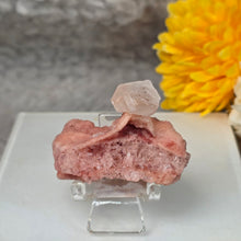 Load image into Gallery viewer, Pink Halite Specimen Display (California) – 加州粉红岩盐矿物标本摆件
