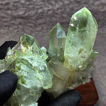 Load image into Gallery viewer, Green Phantom Quartz Cluster (Pakistan) – Growth, Prosperity &amp; Earth Energy

