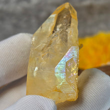 Load image into Gallery viewer, Iridescent Golden Healer Lemurian Seed (Colombia) – 哥伦比亚天然彩虹黄金疗愈师雷姆利亚种子水晶
