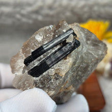 Load image into Gallery viewer, Raw Black Tourmaline in Quartz Specimen Display – 黑碧玺共生石英原矿摆件
