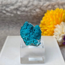 Load image into Gallery viewer, Blue Chrysocolla on Quartz Display (Peru) – 秘鲁蓝硅孔雀石共生石英摆件
