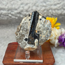 Load image into Gallery viewer, Raw Black Tourmaline in Quartz Specimen Display – 黑碧玺共生石英原矿摆件
