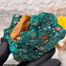 Load image into Gallery viewer, Dioptase with Malachite &amp; Chrysocolla Specimen (Congo) – 刚果翠铜矿共生孔雀石与蓝铜矿矿标
