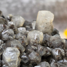 Load image into Gallery viewer, Columnar Calcite Specimen (Fujian, China) – 中国福建柱状方解石矿标
