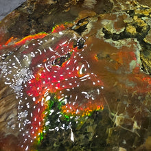 Load image into Gallery viewer, Ammonite Fossil (Canada) – Abundance, Protection &amp; Energy Flow
