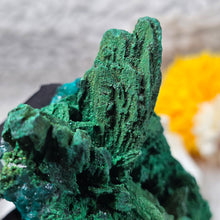 Load image into Gallery viewer, Dioptase with Malachite &amp; Chrysocolla Specimen (Congo) – 刚果翠铜矿共生孔雀石与蓝铜矿矿标
