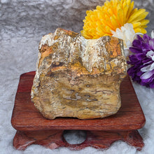 Load image into Gallery viewer, Petrified Wood Display (Madagascar) – 马达加斯加木化石摆件
