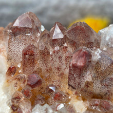 Load image into Gallery viewer, Red Hematite in Quartz Cluster Display (South Africa) – 南非赤铁矿共生石英簇摆件
