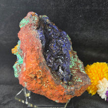 Load image into Gallery viewer, Azurite with Malachite Display (Laos) – 老挝蓝铜矿共生孔雀石摆件
